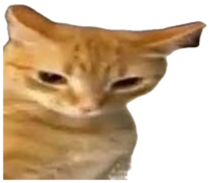 Orange cat with flattened ears and half-closed eyes over the text 'are you silly?' sticker