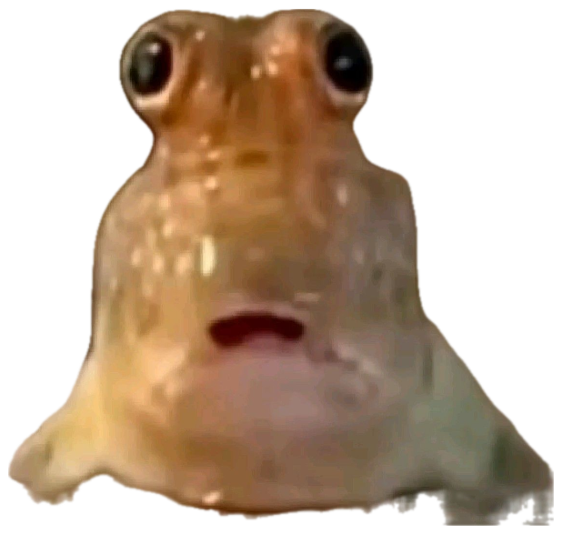 Wide-eyed fish staring dead at the camera with its mouth hanging open in shock sticker