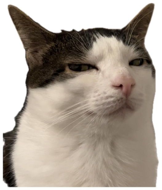 Black and white cat with half-closed eyes and a permanently unimpressed scowl sticker