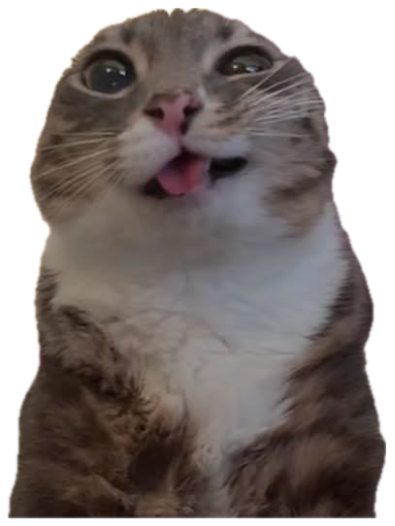 Cat with watery wide eyes and its tongue poking out mid-meow, looking thrilled sticker