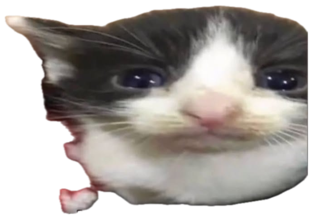 Tiny tuxedo kitten staring deadpan captioned 'think twice? bro, I didn't even think once' sticker