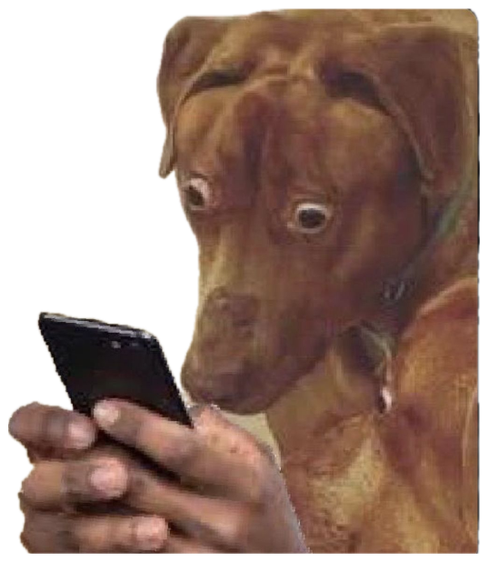 Brown dog holding a phone and staring at it with bug-eyed, horrified shock sticker