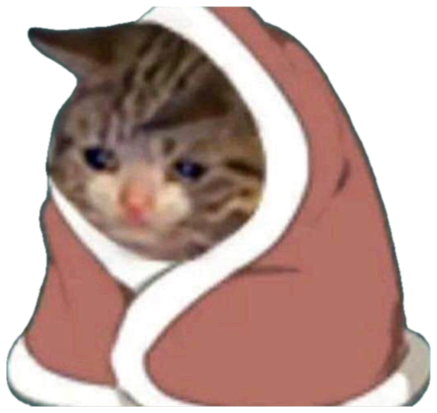 Sad-eyed cat peeking out from a cozy cartoon hood with big blue watery eyes sticker