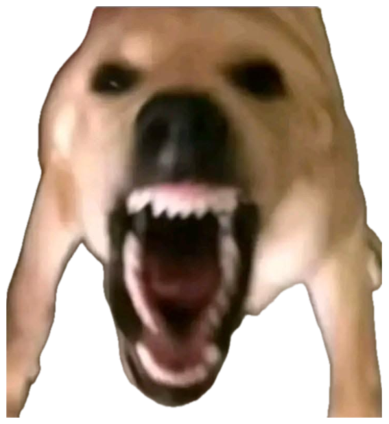 Blurry dog lunging at the camera mid-bark with jaws wide open sticker