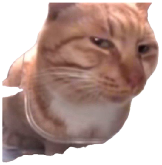 Orange tabby cat pressed against a glass dish squinting with a deeply suspicious glare sticker