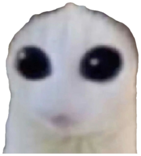 White cat with enormous black eyes staring dead into the camera sticker