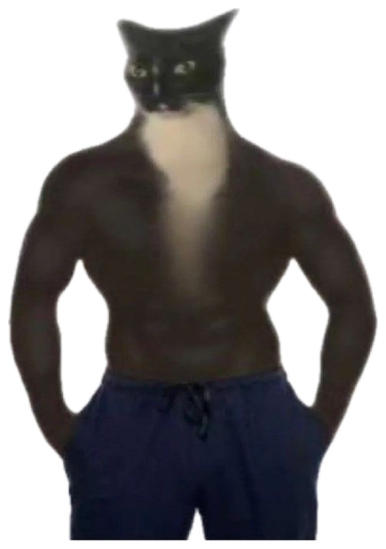 Buff shirtless body with a cat's head photoshopped on, captioned 'One at a time, ladies' sticker