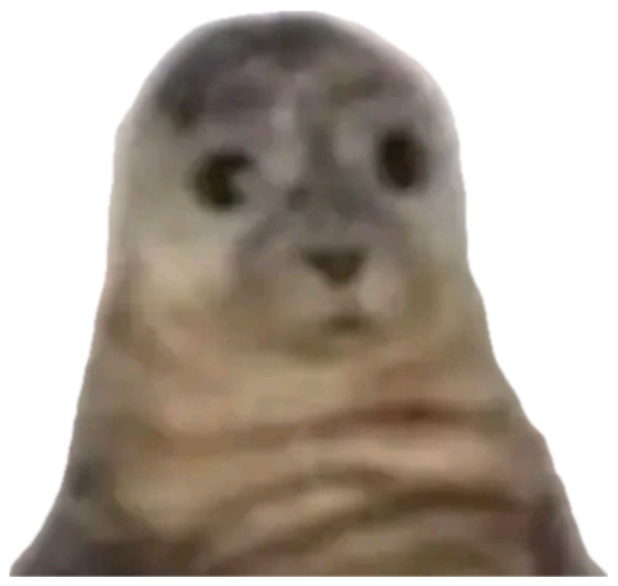 A seal staring straight at the camera with a completely blank, deadpan face sticker