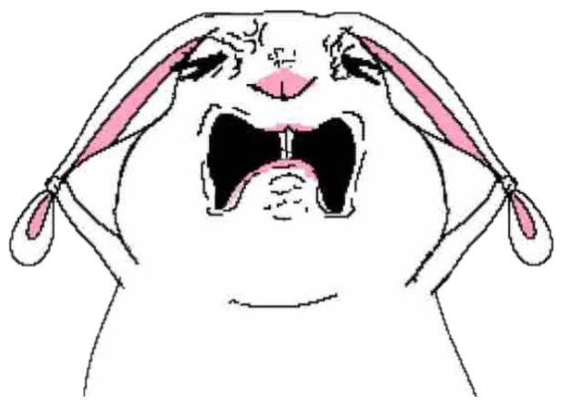 Crude bunny drawing bawling its eyes out with big teardrops streaming down sticker
