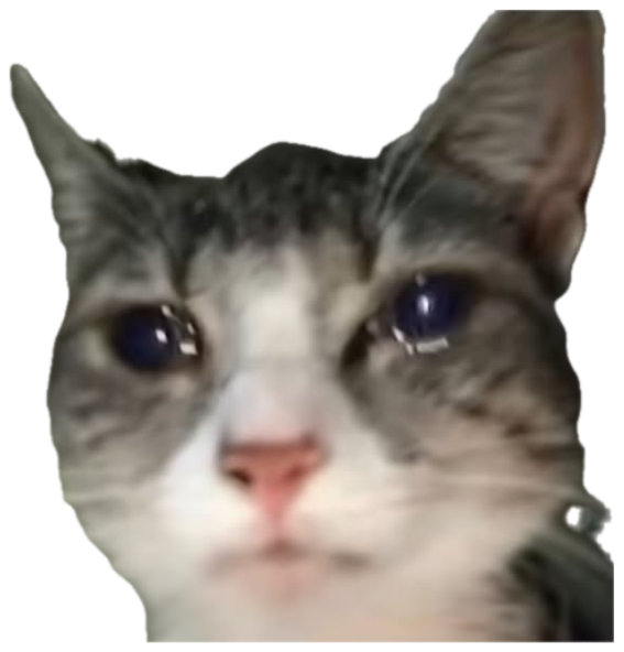 Tabby cat staring into the camera with glassy, watery, teary-looking eyes sticker