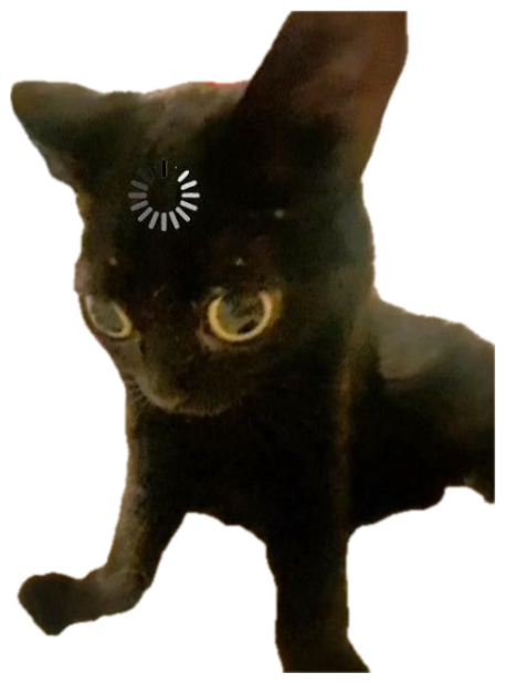 Black kitten in a fluffy bed with huge yellow eyes locked in a wide, startled stare sticker