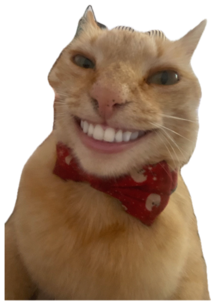 Orange cat in a red bandana wearing a giant human-teeth grin filter sticker