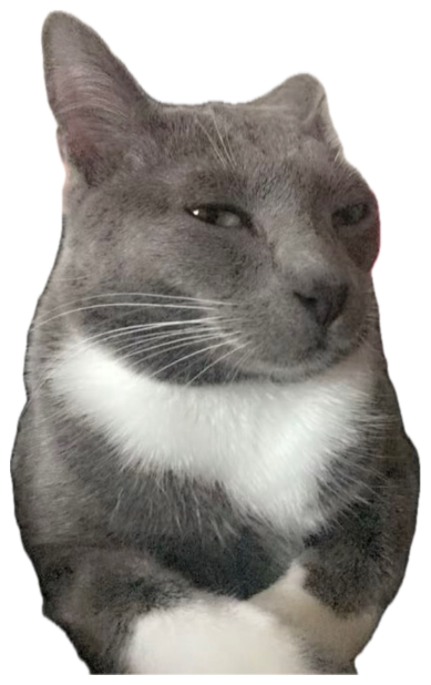 Chubby gray-and-white cat giving an extremely side-eyed, self-satisfied smirk sticker