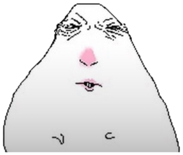 Blobby cartoon face with blushing cheeks and a small shy, pursed mouth sticker