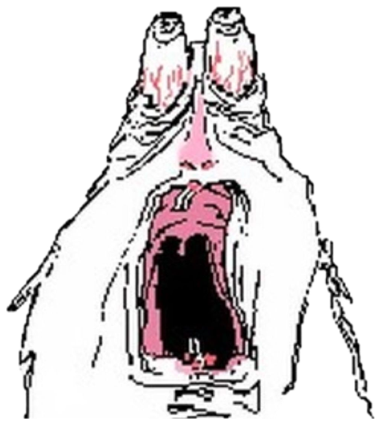 Crude doodle face bawling with a wide-open black mouth and streaming eyes sticker