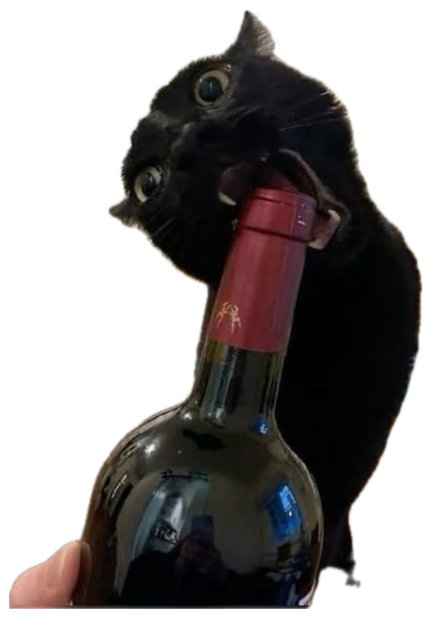 Black cat peering over a wine bottle with wide, startled eyes sticker