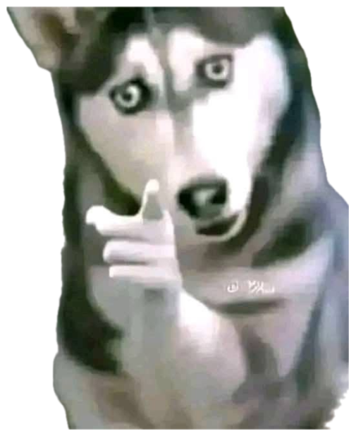 Grainy husky pointing a paw with a wide-eyed shocked look sticker