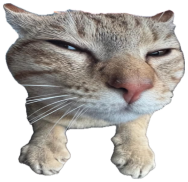Squinting grumpy cat captioned 'We COULD be cuddling... but SOMEONE doesn't know how to teleport' sticker