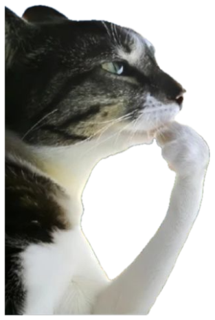 Tabby cat gazing into a sunset field with a paw raised, deep in thought sticker