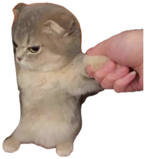 Fluffy kitten grumpily standing as a hand grabs its paw sticker