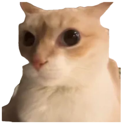 Cream cat with big watery eyes looking on the verge of tears sticker