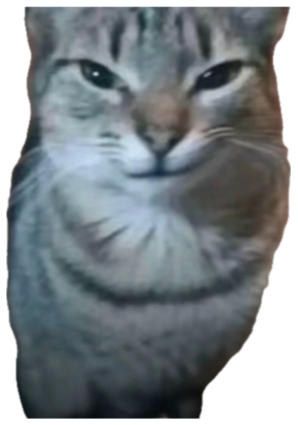 Grey tabby cat with a sly little smirk staring at the camera sticker