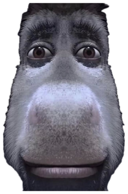 Extreme close-up of an animated donkey's face with an awkward wide-eyed look sticker