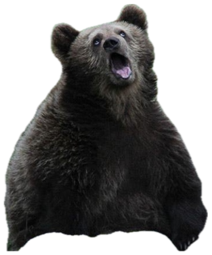 Brown bear sitting on rocks with its head tilted back and mouth open mid-howl sticker