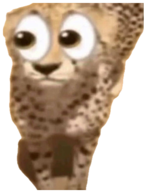 Cheetah cub with cartoon googly eyes digitally added, looking completely shook sticker