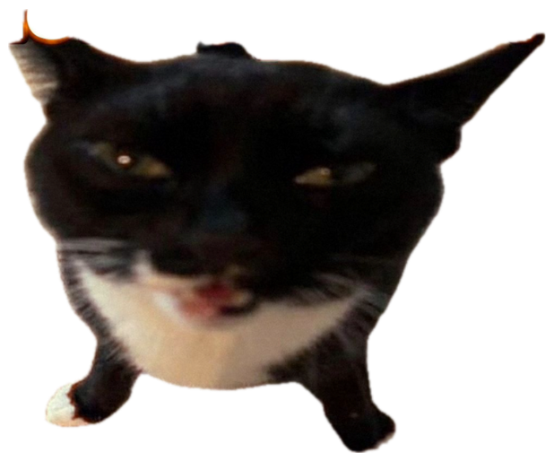 Black-and-white cat mid-grimace, captioned 'Lore update: I'm losing it' sticker