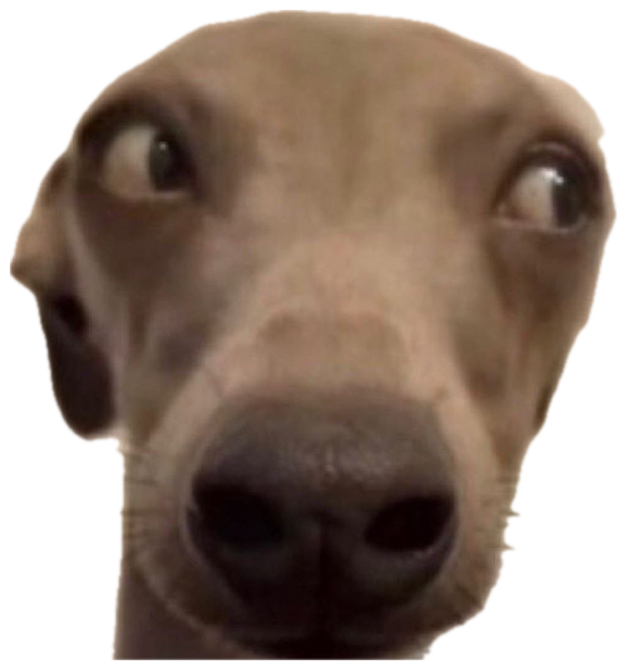 A greyhound leaning into the camera with wide cross-eyed googly eyes sticker
