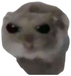 Tiny gray hamster looking directly at the camera with enormous glossy sad eyes sticker