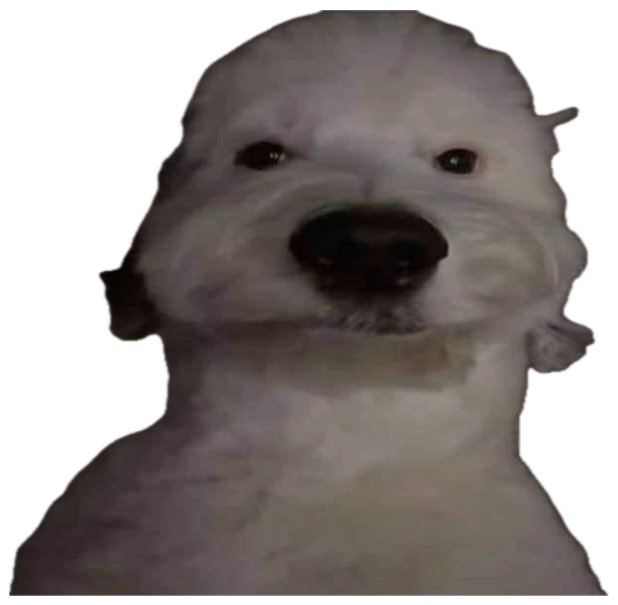 Fluffy white dog staring blankly into a dim camera with a flat expression sticker