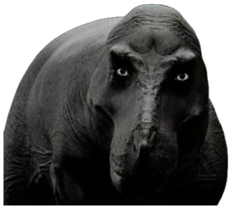 Ominous hippo staring dead-on captioned 'Are we deadass rn' sticker