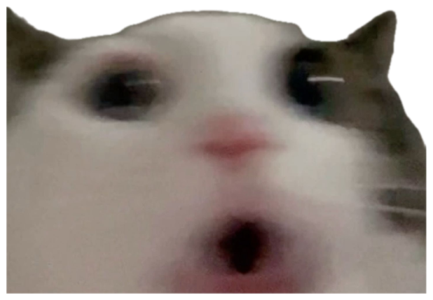 Blurry close-up of a white cat with a shocked open-mouthed expression sticker