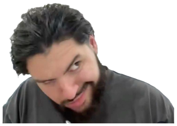 Bearded guy leaning into the webcam with a sly suspicious grin sticker