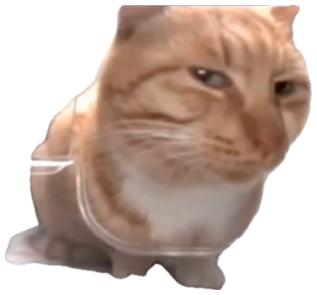 Orange cat squished against a screen giving a skeptical side-eye sticker