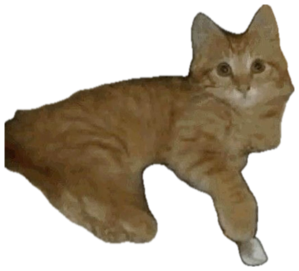 Orange tabby kitten sitting on a gun with 'these streets ain't for you cuh' above sticker