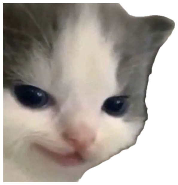 Tiny white kitten with big sad blue eyes looking utterly heartbroken sticker