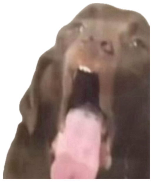 Dark-furred animal with its mouth wide open and tongue out in an unhinged screaming pose sticker