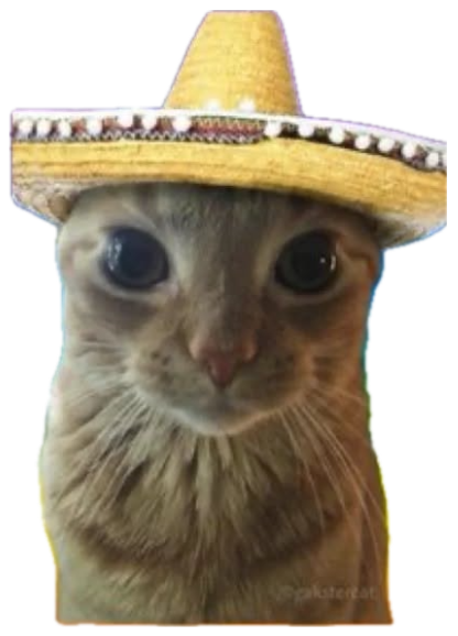 Two cats in sombreros staring you down captioned 'Check Your Ego, Amigo!' sticker