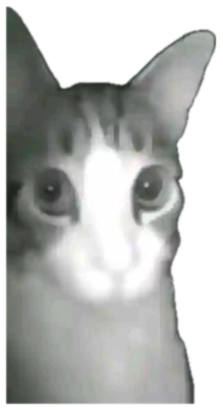 Wide-eyed cat caught staring into a night-vision security camera at 22:32 sticker