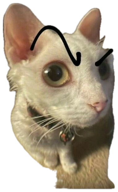 White Devon Rex cat with drawn-on angry eyebrows staring up with wide suspicious eyes sticker
