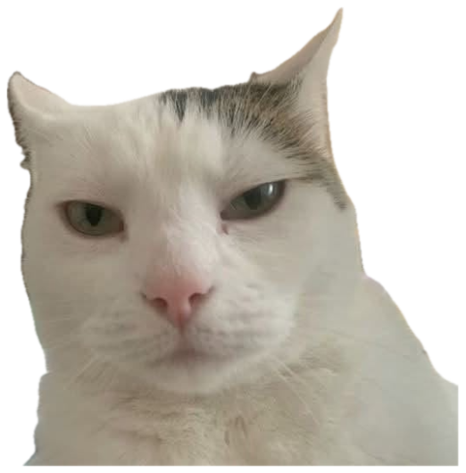 Grumpy white cat with narrowed eyes and '???' floating above its head sticker