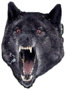 Insanity Wolf snarling with bared teeth on a dark static-noise background, fully unhinged sticker
