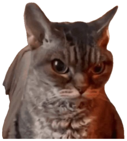 Fluffy tabby cat looking straight into the camera, thoroughly unimpressed sticker