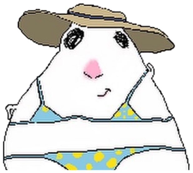Doodled guinea pig posing in a polka-dot bikini and a floppy sun hat sticker
