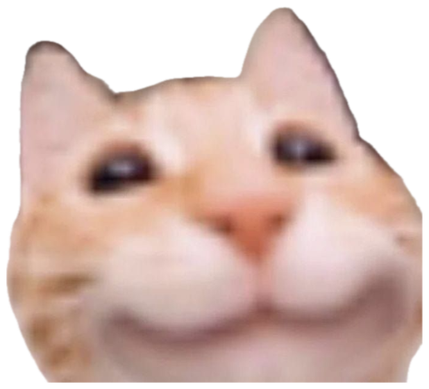 Orange cat pressed close to the camera with a big goofy smiling face sticker