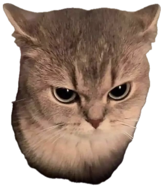 Grumpy tan cat glaring up with a deeply annoyed, unimpressed frown sticker