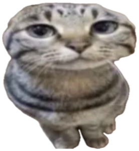 Blurry folded-ear cat sitting and staring up with a droopy, sad little face sticker